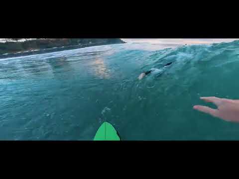POV Surf / Duranbah Morning Perfection