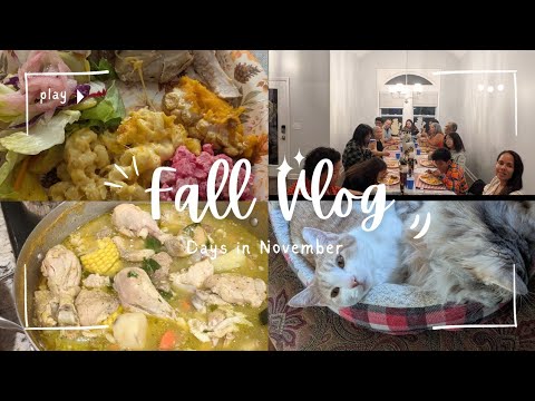 Cats, dominican cake, thanksgiving prep, family time * days in november vlog