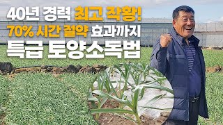 역대 최고 작황! 시간 & 노동력 70% 절약한 40년 농사 고수의 토양소독법
