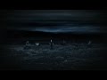 Black Fever by PSYCHOTIC GARDENING 