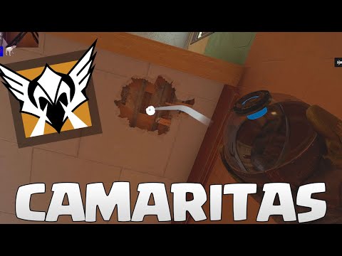 VUELVEN LAS CAMARITAS? | MIWELL