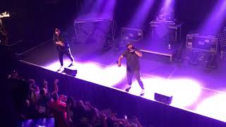 Social Club Misfits “Dive”