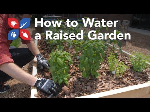  Do My Own Gardening - How to Water a Raised Garden Bed  Video 