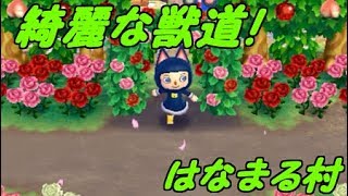 【とびだせどうぶつの森amiibo＋】綺麗な獣道が特徴の村に行ってみた！！とび森夢レポ3【字幕実況】