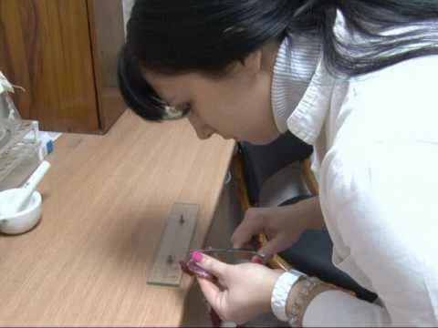 Izjava Trihinela 20 01