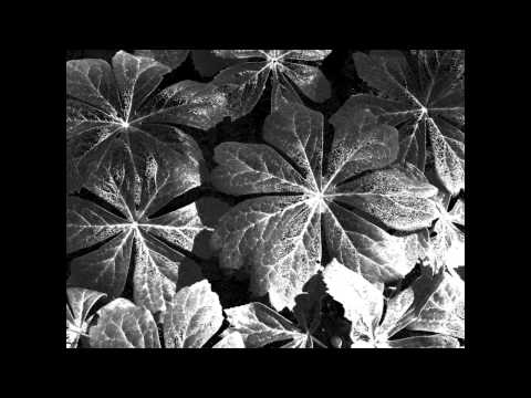 YouTube video link about Minor White : The Photography of Minor White