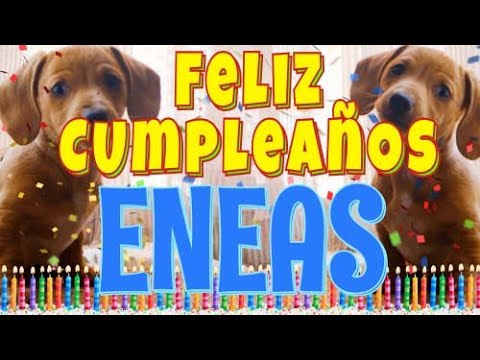 ¡Feliz cumpleaños Eneas! (Perros hablando gracioso) ¡Muchas felicidades Eneas!