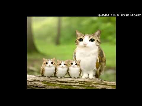 chris travis x yung bruh type beat (prod. wjk)