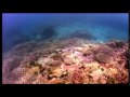 Petersky: Piper Maru (Original Mix)