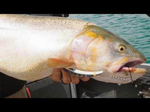 The Hunt - A Quest For GIANT Cutthroat TROUT Official Movie