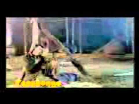 babko charile kafalai khayo.3gp