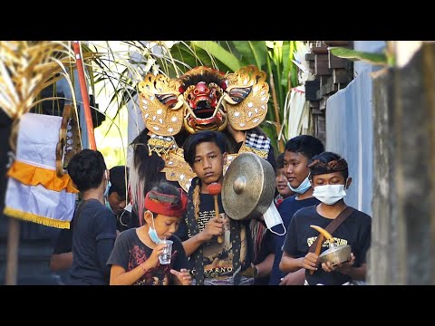 NGELAWANG BARONG BANGKUNG PAING GALUNGAN 2021 - Seka Barong Dharma Mekar Munggu