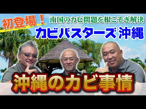  SOS: 苗にカビが発生しました!彼らを救えるでしょうか？やり方は？  庭園