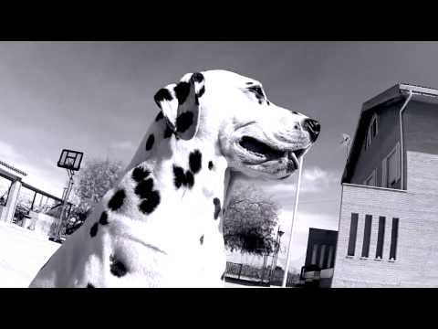 DALMATA LIFE - Kurtys Flow ft. El Tete de Elche 2014