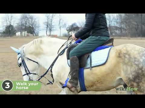 How to Ride a Horse (with Pictures) - wikiHow