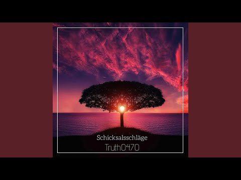 Schicksalsschläge (Instrumental)