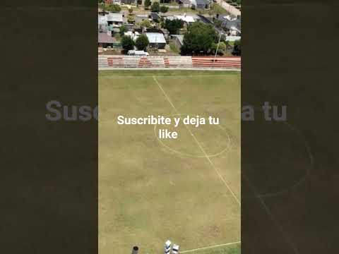 Lambert de Monte Maiz Cordoba