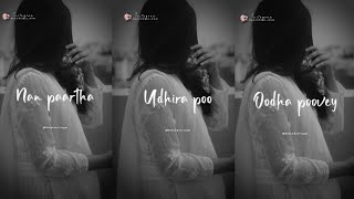 Download lagu 🌼💜Oodha oodha oodha poo indrum endrum udhira poo💜🌼 mp3