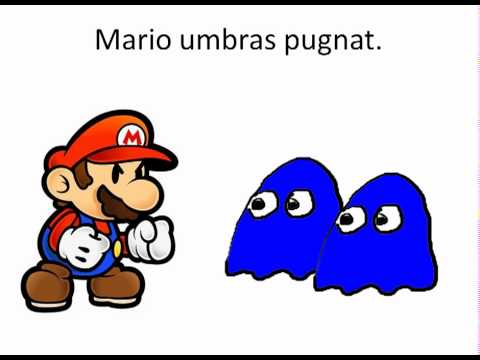 Plural Accusatives Explained in English