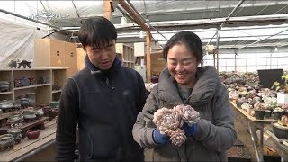 나는 농부다 76회 1부 - 꽃보다 다육이Ⅰ