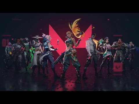 Hive Cup Finals Round 2