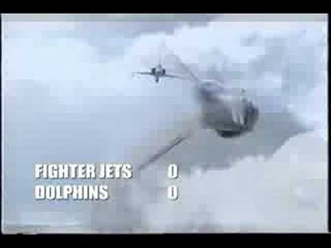 Dolphins Vs Fighter Jets