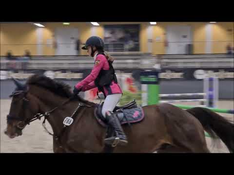 Malu (12) und Zappa - A** in Warstein am 27.11.2021