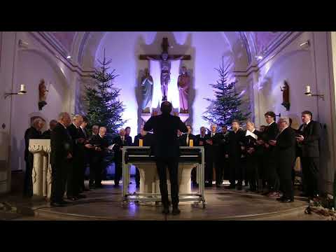 Männerchor Frohsinn Ottfingen - Markt und Straßen stehn verlassen (von Eichendorff)
