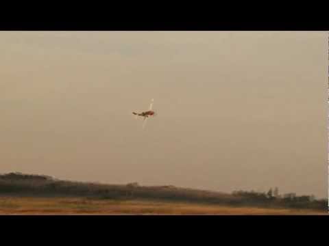 P 51D Mustang Low Level Pass and Flyby