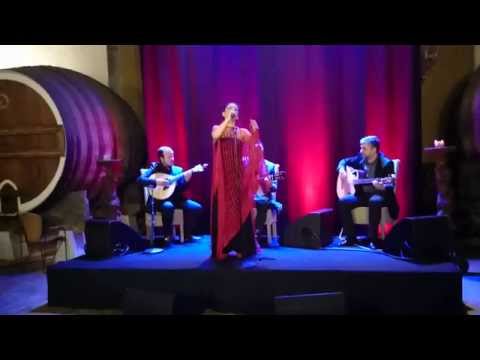 Ana Lains - Adega Colares