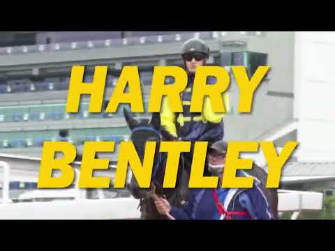 [HK Direct]: Season 21/22 | Meeting 71 | 15 May | Behind the scenes at the Sha Tin trials