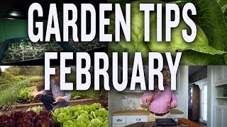 Winter Garden Tips and Projects: P. Allen Smith (February) ❄🌱