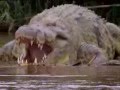 Gustave Giant Crocodile Of Primeval Movie