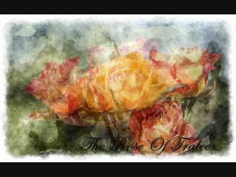 The Rose of Tralee cover