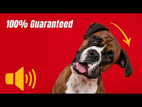 100% Guaranteed Head Tilt Dog Sounds 🐶 | Test Your Dog’s Reaction