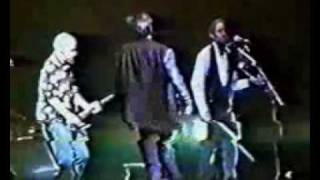 Peter Gabriel - Kiss That Frog - 1993 MULTICAM audience