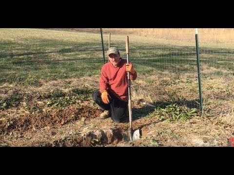 How To Till A Garden Without A Rototiller Double Dig Gardening Method