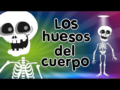 Los Huesos del Cuerpo - Canciones Infantiles