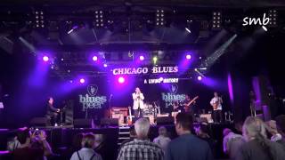 Chicago Blues - A Living History @ Peer Rhythm and Blues Festival 2014 - Peer, Belgium
