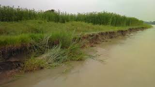 preview picture of video 'River erosion at Madhumoti River. নদী ভাঙ্গন মধুমতি'