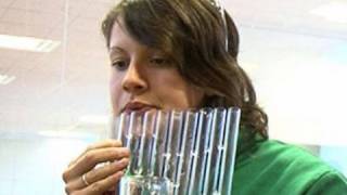 Which element for Christmas?