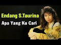 Endang S Taurina Apa Yang Ku Cari Lyrics Video