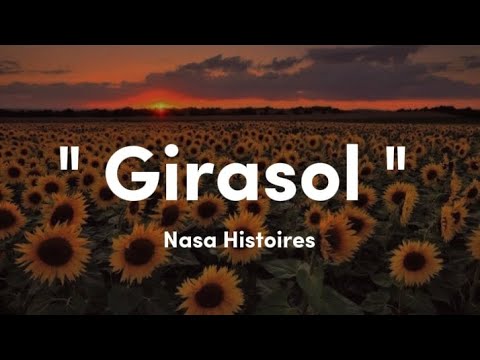 Girasol | Nasa Histoires | Letra
