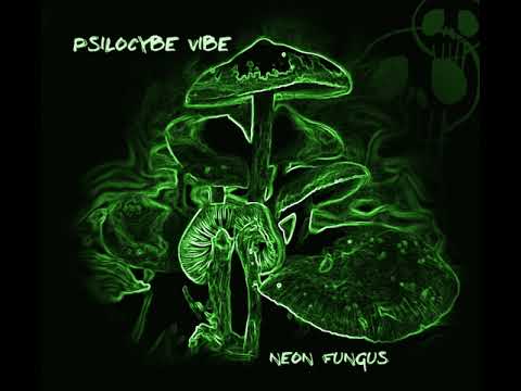 01 Psilocybe Vibe - The Sloppy Jaloppy