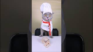 Chef Cat Also Has Dark Cuisine Moment!😭| Funny Cat TikTok Challenge  #funnycat #catsoftiktok #shorts