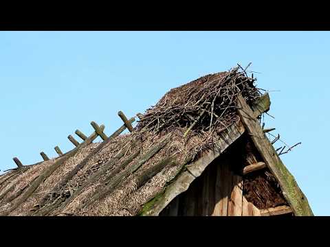Southern Belarus (Polesye): people