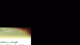 معنى : لا إله إلا الله || الشيخ خالد الفليج image