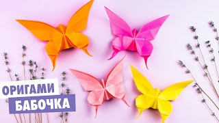 Origami paper butterfly