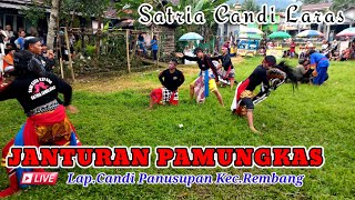Download lagu JANTUR PAMUNGKAS ‼️ SENI EBEG BANYUMASAN‼️SATRIA CANDI LARAS mp3 Download lagu JANTUR PAMUNGKAS ‼️ SENI EBEG BANYUMASAN‼️SATRIA CANDI LARAS mp3