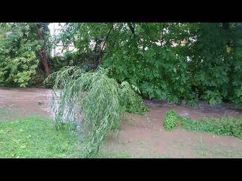 Áradat a kert végében